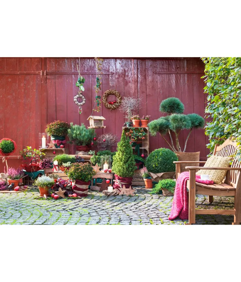 Dehner Pflanzenfolien & Ernteschutz|Mehr Blumentopfzubehör > Winterschutz Vlies