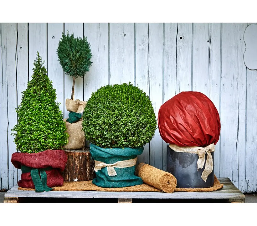 Dehner Pflanzenfolien & Ernteschutz|Mehr Blumentopfzubehör > Winterschutz Vlies