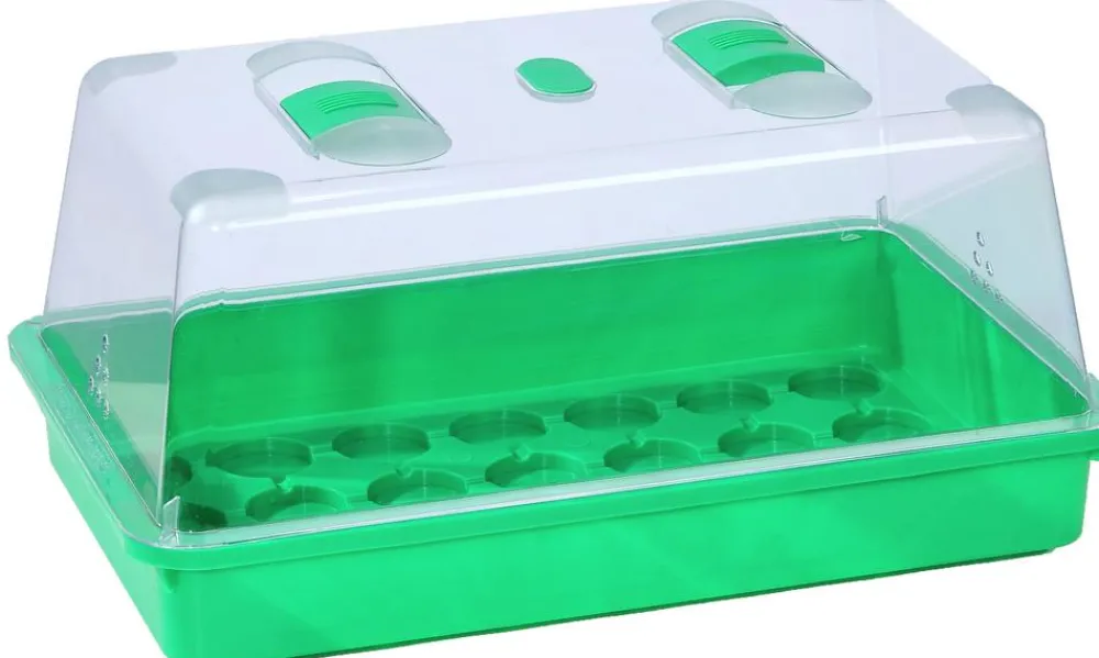 Dehner Anzuchthäuser > Zimmergewächshaus Komplett-Set, ca. B38/H18/T24 cm