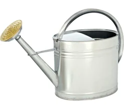 Dehner Gießkannen|Gießkannen & Sprühflaschen - Zink-Gießkanne, oval, 9 l Silber
