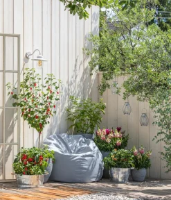 Dehner Pflanzkübel & Blumenkästen - Zink-Pflanzkübel, Ø 36 cm