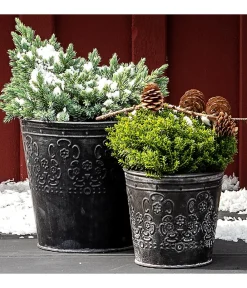 Dehner Pflanzkübel & Blumenkästen > Zinktopf