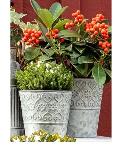 Dehner Pflanzkübel & Blumenkästen > Zinktopf Ornamente