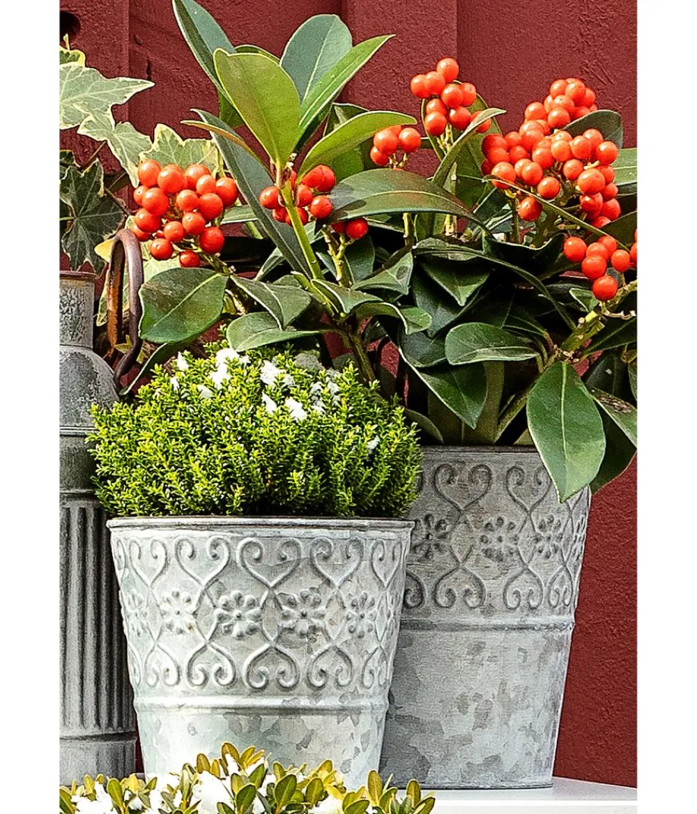 Dehner Pflanzkübel & Blumenkästen > Zinktopf Ornamente