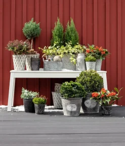 Dehner Pflanzkübel & Blumenkästen - Zinktopf Ornamente Grau