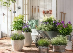 Dehner Mehr Gartendekoration|Blumenampeln & -Schalen > Zink-Wanne mit Holzgriffen, rund,