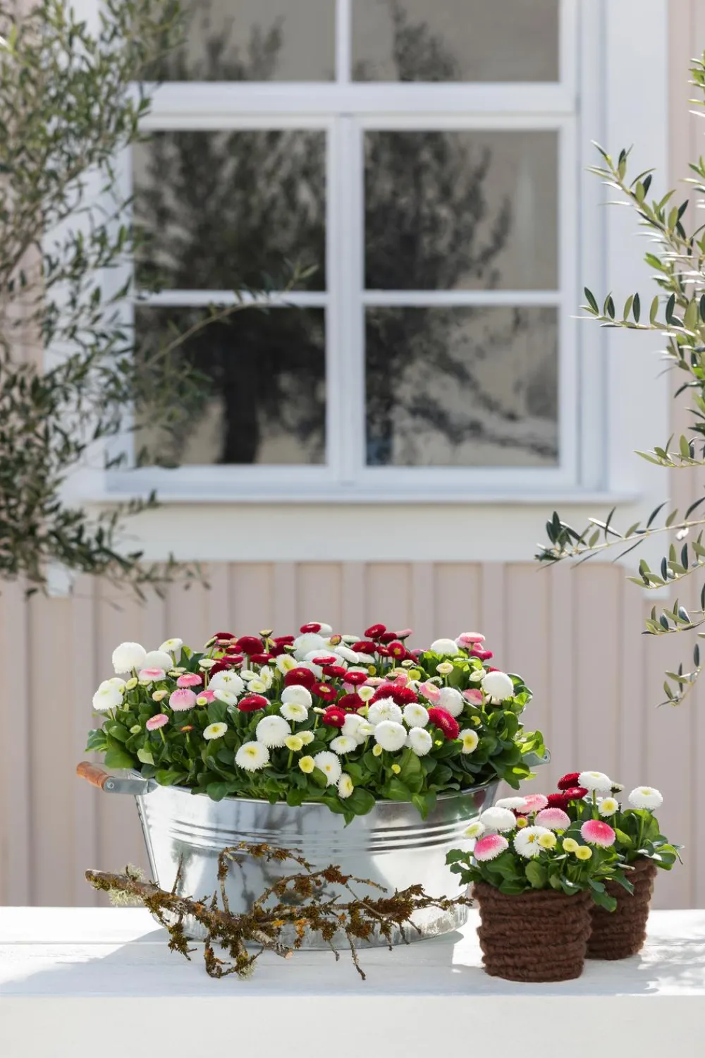 Dehner Mehr Gartendekoration|Blumenampeln & -Schalen > Zink-Wanne mit Holzgriffen, rund,