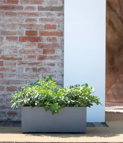 Deroma Pflanzkübel & Blumenkästen > Kunststoff-Kasten Millenium, rechteckig