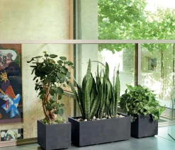 Deroma Pflanzkübel & Blumenkästen - Kunststoff-Topf Millenium, quadratisch Anthrazit