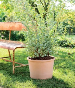 Deroma Blumentöpfe & Übertöpfe - -Pflanztopf Cilindro Bordato, rund Terrakotta