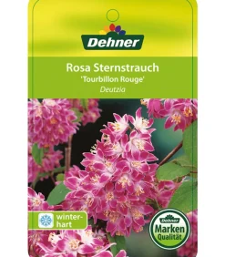 Dehner Deutzie 'Tourbillon Rouge' Sale