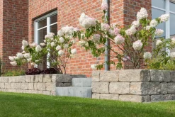 DIEPHAUS Steine & Terrassenplatten > Mauerstein SIOLA®-MINI