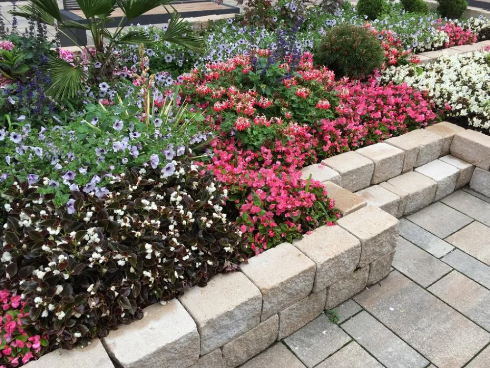 DIEPHAUS Steine & Terrassenplatten > Mauerstein SIOLA®-MINI