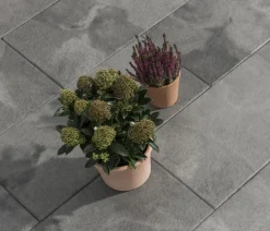 DIEPHAUS Steine & Terrassenplatten - Terrassenplatte Pura Grau