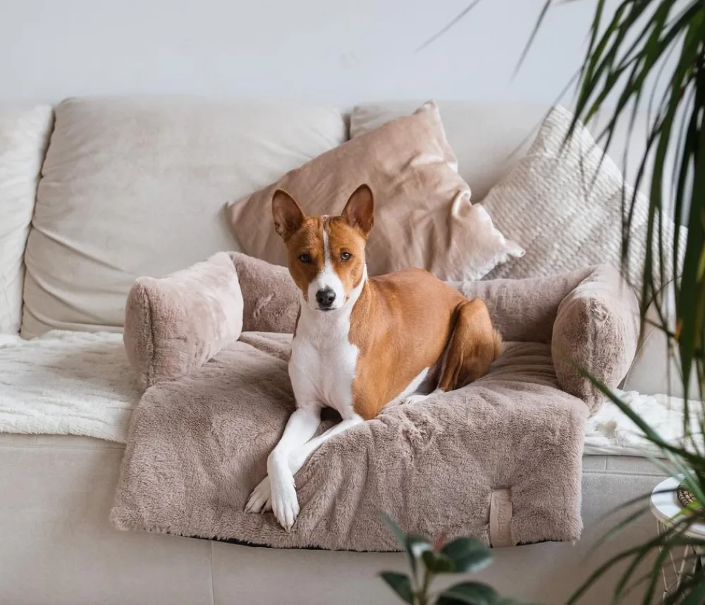 District70 Mehr Hundeschlafplätze - Ditrict 70 Hundeofa Nuzze Taupe