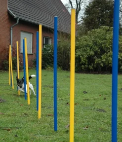 dobar® petlife Hundespielzeug > Agility Slalom-Set, 12-teilig