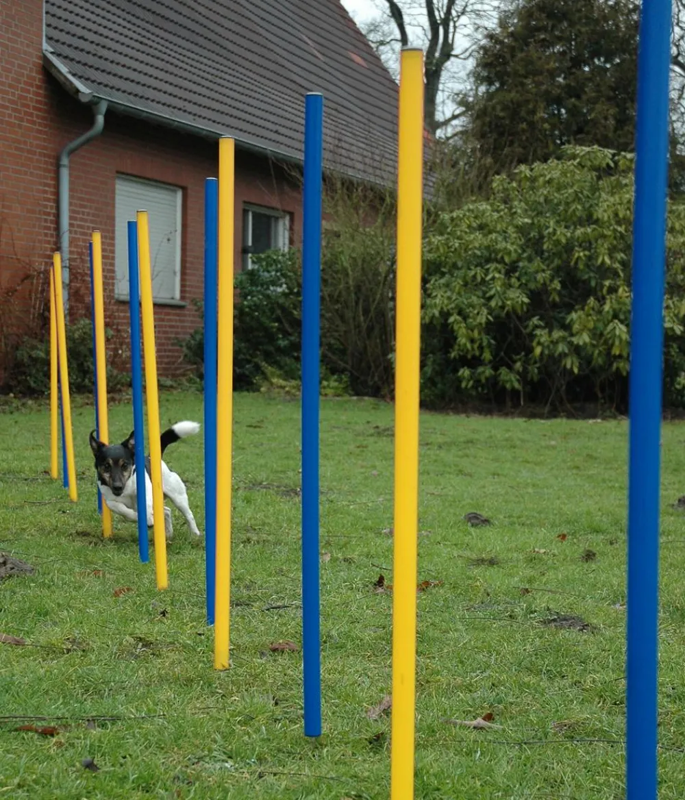 dobar® petlife Hundespielzeug > Agility Slalom-Set, 12-teilig