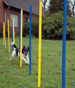 dobar® petlife Hundespielzeug > Agility Slalom-Set, 12-teilig