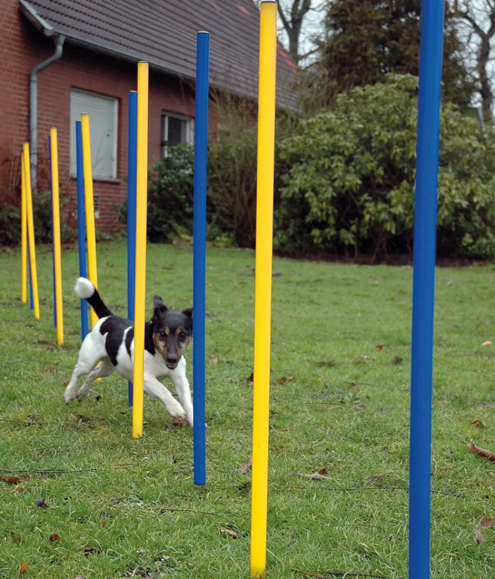 dobar® petlife Hundespielzeug > Agility Slalom-Set, 12-teilig