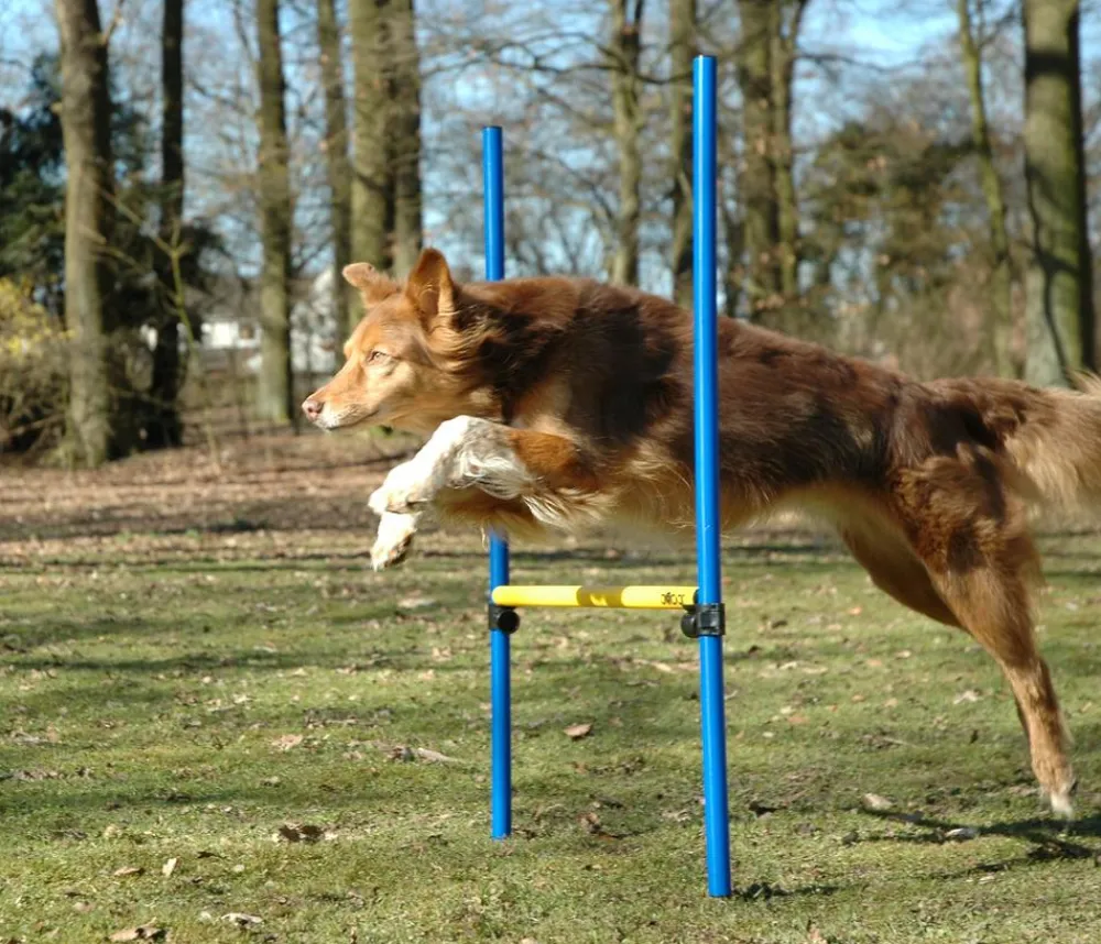 dobar® petlife Hundespielzeug - Agility Sprung-Set, 3-teilig