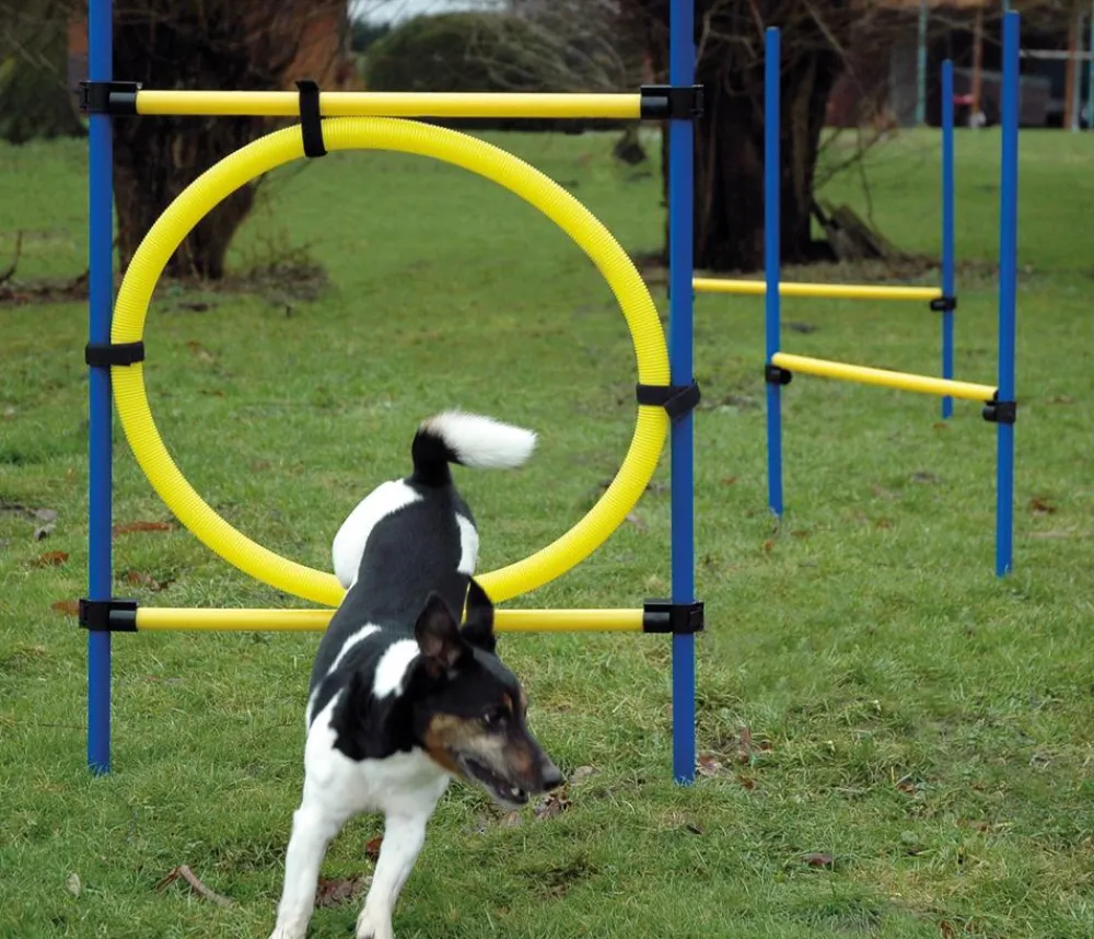 dobar® petlife Hundespielzeug - Agility Sprung-Set, 3-teilig