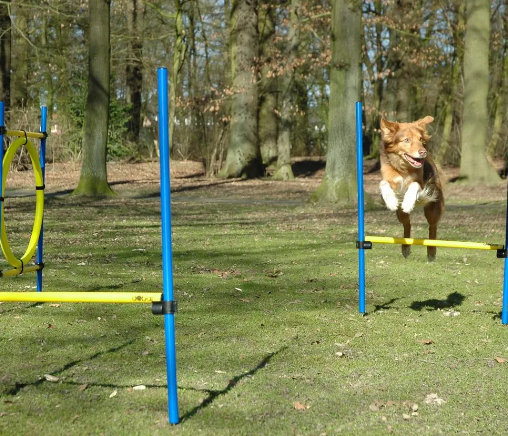 dobar® petlife Hundespielzeug - Agility Sprung-Set, 3-teilig