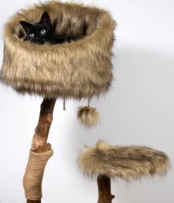 dobar® petlife Kratzbäume & Kratzmöbel > Design-Katzenmöbel Sunny, ca. B50/H109/T40 cm