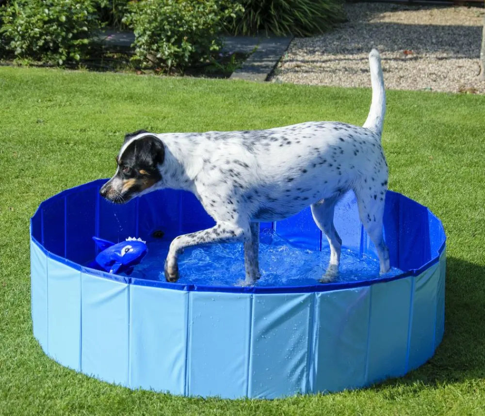 dobar® petlife Hundespielzeug > Hundepool, , ca. Ø120/H30 cm