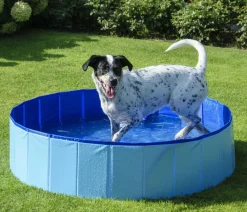 dobar® petlife Hundespielzeug > Hundepool, , ca. Ø120/H30 cm