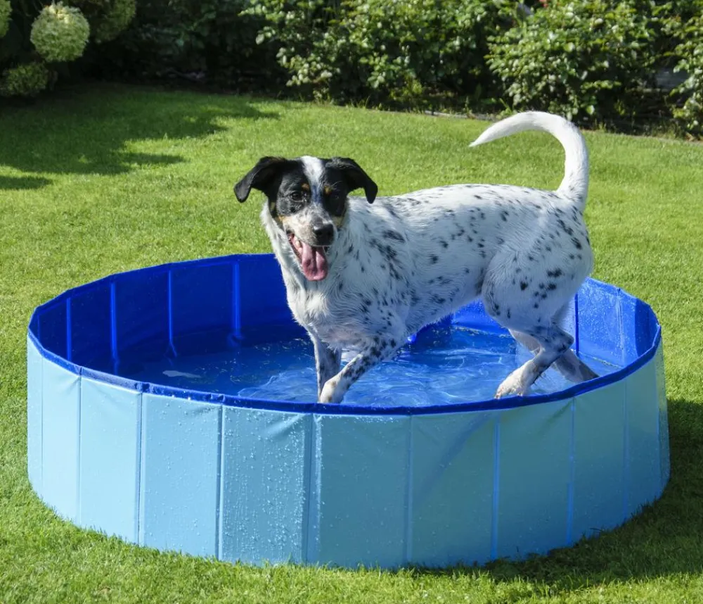 dobar® petlife Hundespielzeug > Hundepool, , ca. Ø120/H30 cm