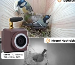 dobar® wildlife Nistkästen - Nistkasten Karsten, inkl. Kamera, ca. B22,5/H53/T25,5 cm