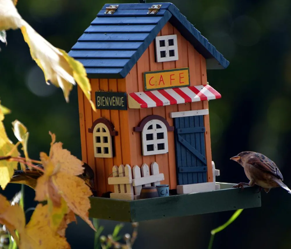 dobar® wildlife Vogelhaus Café, Kiefer, /, ca. B18/H23/T18 cm Outlet