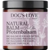 DOG'S LOVE Hundepflege & Hygiene|Pfoten- & Krallenpflege - Pfotenpflege Natural Balm, 50 ml
