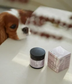 DOG'S LOVE Hundepflege & Hygiene|Pfoten- & Krallenpflege - Pfotenpflege Natural Balm, 50 ml