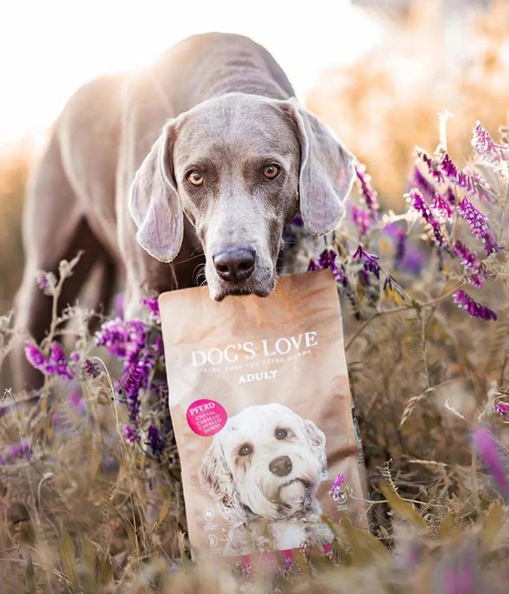 DOG'S LOVE Trockenfutter Hund > Trockenfutter für Hunde Adult