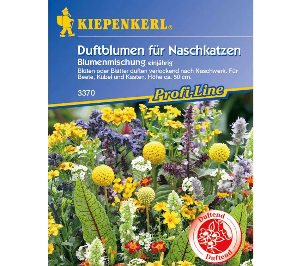 Nebelung/Kiepenkerl Blumensamen - Duftblumen für Naschkatzen Mix, Saatgut von Kiepenkerl Bunt