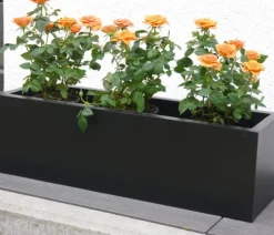 eastwest Fiberglas-Balkonkasten Linea inkl. Halterung Schwarz Best