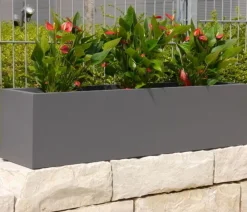 eastwest Pflanzkübel & Blumenkästen|Blumentöpfe & Übertöpfe > Fiberglas-Blumenkasten Supremo, rechteckig