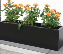 eastwest Pflanzkübel & Blumenkästen|Blumentöpfe & Übertöpfe > Fiberglas-Blumenkasten Supremo, rechteckig