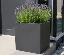 eastwest Pflanzkübel & Blumenkästen|Blumentöpfe & Übertöpfe > Fiberglas-Pflanzkübel, quadratisch