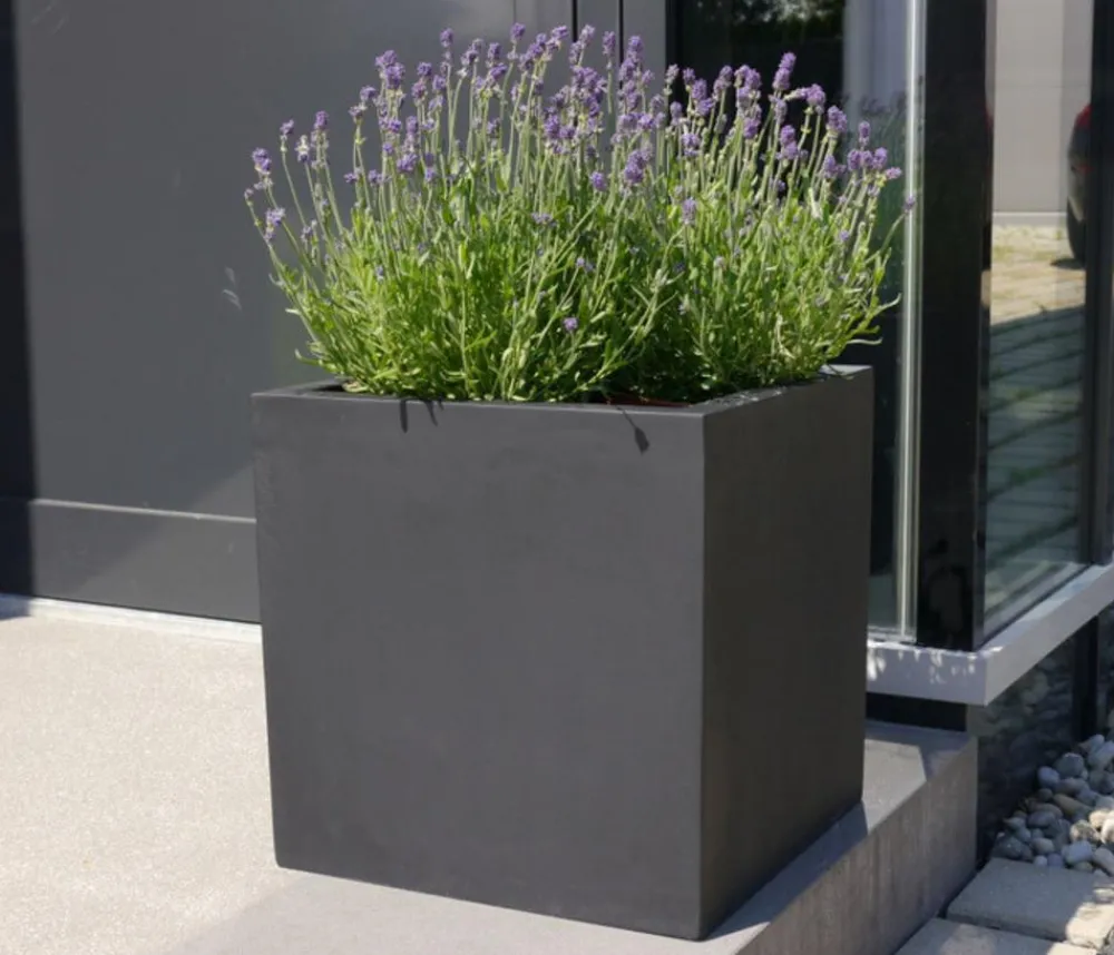 eastwest Pflanzkübel & Blumenkästen|Blumentöpfe & Übertöpfe > Fiberglas-Pflanzkübel, quadratisch