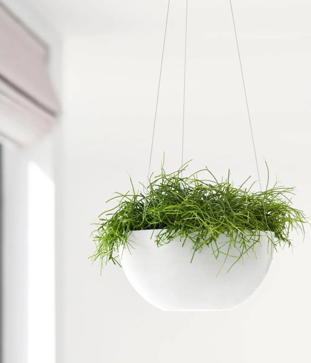Ecopots Blumenampeln & -Schalen - Kunststoff-Ampel Brussels mit Wassersystem, rund Weiß
