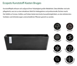 Ecopots Pflanzkübel & Blumenkästen > Kunststoff-Kasten Bruges mit Wassersystem, rechteckig