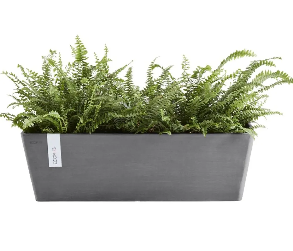 Ecopots Pflanzkübel & Blumenkästen - Kunststoff-Kasten Bruges mit Wassersystem, rechteckig Grau