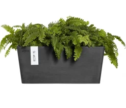 Ecopots Kunststoff-Kasten Manhattan Wall mit Wassersystem, rechteckig Dunkelgrau Sale