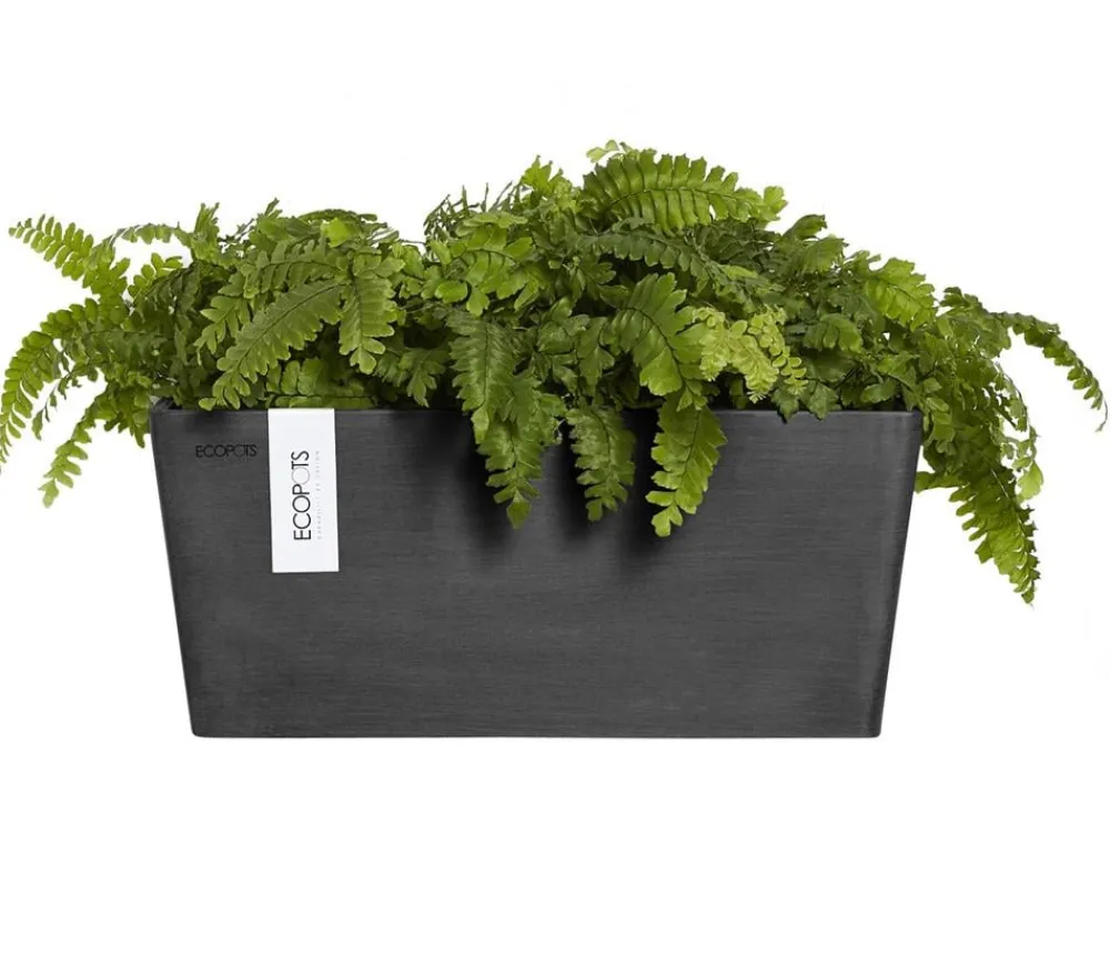 Ecopots Kunststoff-Kasten Manhattan Wall mit Wassersystem, rechteckig Dunkelgrau Sale
