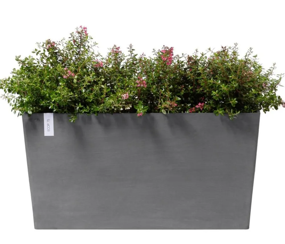 Ecopots Pflanzkübel & Blumenkästen > Kunststoff-Kasten Paris mit Rollen, rechteckig