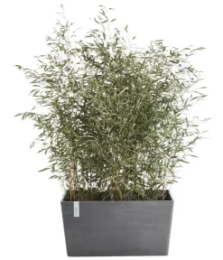 Ecopots Pflanzkübel & Blumenkästen > Kunststoff-Kasten Paris, rechteckig