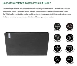 Ecopots Kunststoff-Kasten Paris mit Rollen, rechteckig Dunkelgrau Clearance