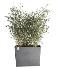 Ecopots Kunststoff-Kasten Paris mit Rollen, rechteckig Grau